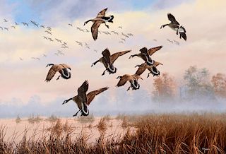 David Maass (b. 1929), Morning Descent – Canada Geese