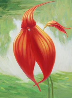 Ren Yu (B. 1945) "Masdevallia veitchiana Orchid"
