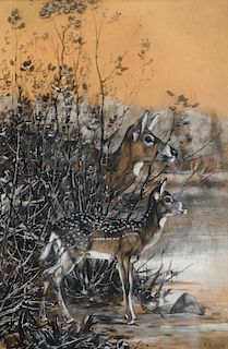 Carl Rungius (1869-1959), The Spotted Fawn