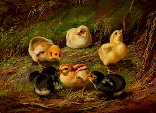 Arthur Fitzwilliam Tait (1819-1905), Chicks (1864)