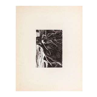 Salas Portugal, Armando. Raíces de Árbol. Mexico. Black and white photographs. 6.6 x 9.4" (17 x 24 cm). On paper. Propietor seal.