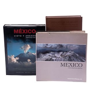 LOTE DE LIBROS: PAISAJES E IMÁGENES DE MÉXICO. a) México Visto y Andado.b) México Visto desde las Alturas. Piezas: 6.