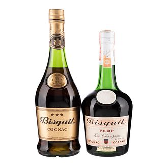 Bisquit. V.S.O.P. Cognac. Francia. Total de Piezas: 2.