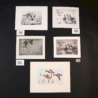 (5pc) FEDERAL DUCK STAMP PRINTS (1951-1959)