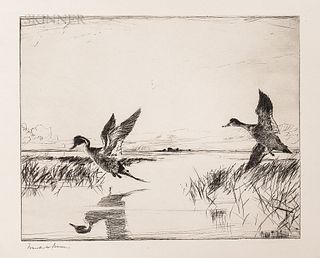 Frank Weston Benson (American, 1862-1951)      Two Impressions of Pair of Pintails