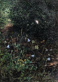 Léon Bonvin (French, 1834-1866)      Wildflowers on a Wooded Path
