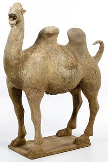 Chinese Tang Dynasty Pottery Bactrian Camel