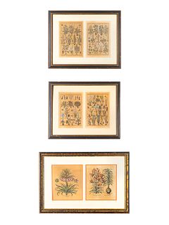 A Group of Botanical Engravings First frame, 12 1/2 x 10 3/4 inches.