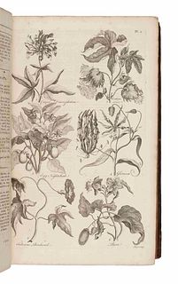 [HALE, Thomas]. Eden: Or, A Compleat Body of Gardening. London: printed for T. Osborne, T. Trye, S. Crowder and Co., and H. Woodgate, [1756-]1757.