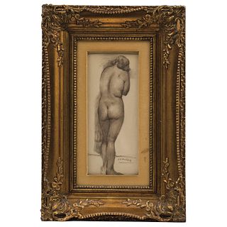 Armando García Núñez (Mexico, 1883 - 1966). Female Nude. Pencil on paper. Signed. 12.2 x 4.9" (31 x 12..5 cm)