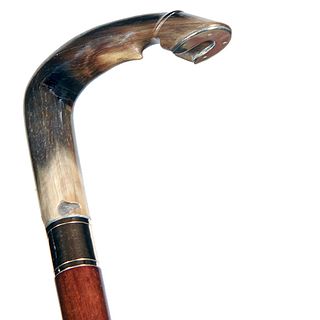 Fetlock Horn Equestrian Cane