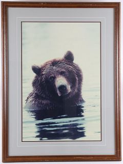 Thomas Mangelson "Morning Bath-Brown Bear" Photo
