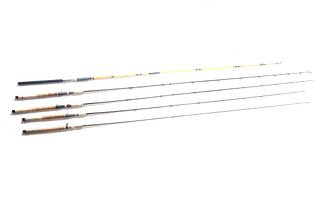 Collection of Variety Fishing Rods