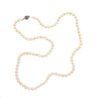 Collar con perlas cultivadas en color blanco de 5 mm y metal base. Peso: 18 g.