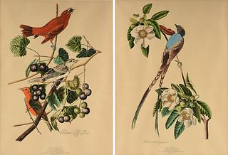 LOIS J. LESTER (American/New Orleans 20th Century) TWO PAINTINGS, "Summer Red Bird," AND "Forked Tailed Flycatcher,"