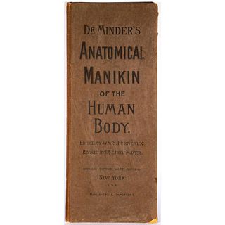 Dr. Minders Anatomical Manikin of the Human Body