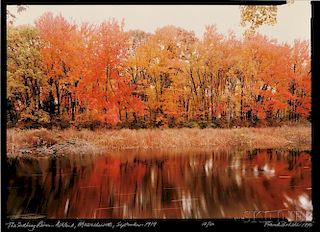 Frank Gohlke (American, b. 1942)      The Sudbury River, Ashland, Massachusetts, September 1989