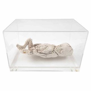 TERESA MARGOLLES, Untitled, 1997, Unsigned, Plaster sculpture in the shape of a fetus, 2.5 x 10.6 x 4.3" (6.5 x 27 x 11 cm), Certificate