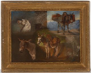 Early Oil of Horse and Donkeys