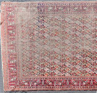 Early Kerman Oriental Carpet