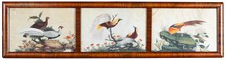 Chinese Paintings, Birds, 19th Century