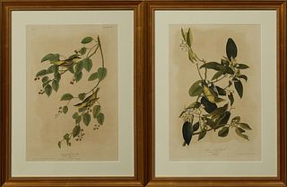 John James Audubon (1785-1851), "Yellow Poll Warbler," No. 5, Plate 89 and "Carbonated Warbler," No. 7, Plate 109, 1859, Bien editio...