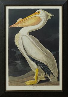 John James Audubon (1785-1851), "American White Pelican," No. 63, Plate 311, Amsterdam Edition, presented in a wide mottled gilt and...