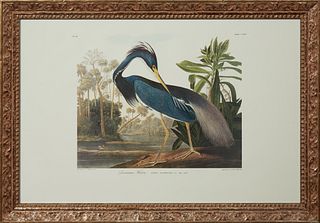 John James Audubon (1785-1851), "Louisiana Heron," No. 44, Plate 217, 20th c., presented in a carved giltwood frame, H.- 25 1/2 in.,...