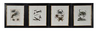 (4) Crustacean Zoological Prints, 19th Century