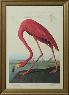 John James Audubon (1785-1851), "American Flamingo," No. 87, Plate 431, Amsterdam edition, presented in a wide gilt frame, H.- 39 in...