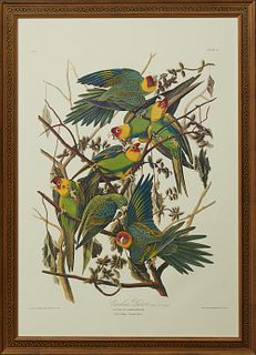 John James Audubon (1785-1851), "Carolina Parrot," Plate 26, No. 6, Amsterdam edition,