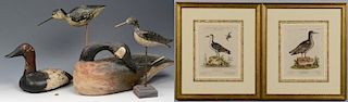 Group of Bird decoys and 19th c. prints