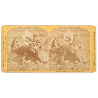 George A. Custer with Grizzly Bear, Stereoview by W.H. Illingworth
