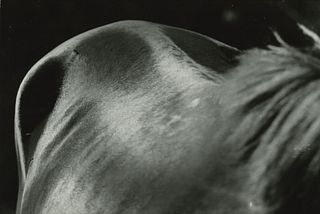 Rinaldo Prieri (1914-1999)  - Figura equina, 1956