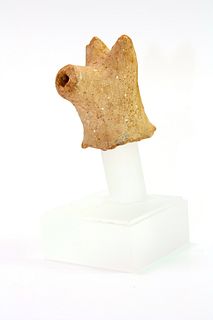 Ancient Assyrian Terracotta head of a Bull c.2200 BC. 
