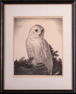 Stow Wengenroth (1906-1978). Matriarch Owl.