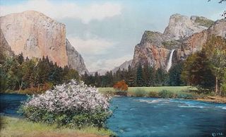 Antique Hand-Tinted Yosemite Valley Photo c1910