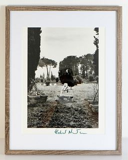 Helmut Newton In a garden near Rome, Signed