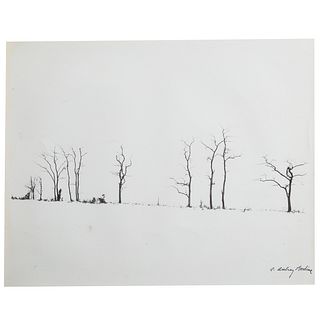 A. Aubrey Bodine. "High Contrast Snow Trees"