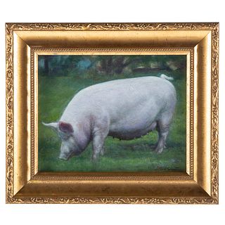 Stere Grant. "Pig Portrait"