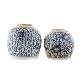 Two Chinese Blue/White Porcelain Ginger Jars
