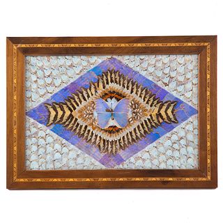 Edwardian Framed Butterfly Collage/Table