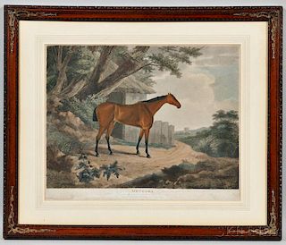 After John Whessell (British, 1760-c. 1823)      Meteroa ,  Plate 7th of Portraits of Celebrated Running Horses