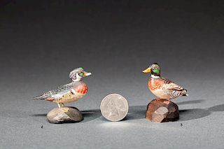 Diminutive Miniature Wood Duck Drake
