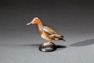 Miniature Canvasback Hen