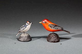 Miniature Downy Woodpecker
