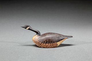 Miniature Swimming Canada Goose