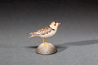 Miniature Piping Plover