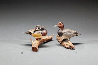 Miniature Preening Wood Duck