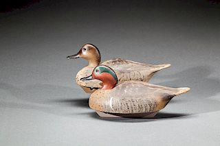 Green-Winged Teal Pair